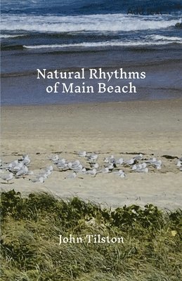 Natural Rhythms of Main Beach 1