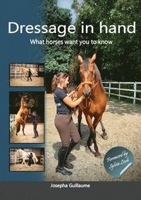 bokomslag Dressage in hand