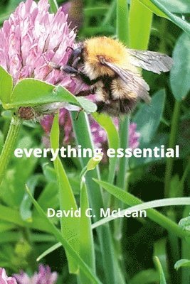 everything essential