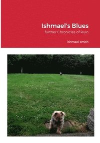 bokomslag Ishmael's Blues