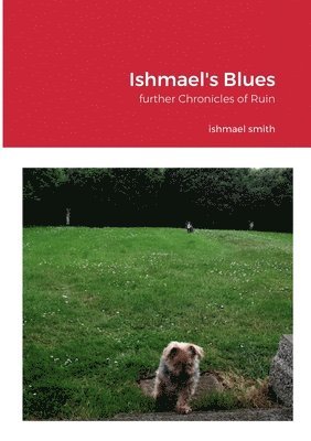 bokomslag Ishmael's Blues