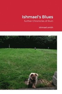 bokomslag Ishmael's Blues