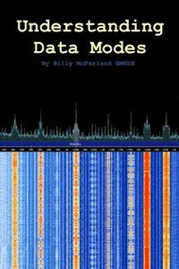 bokomslag Understanding Data Modes
