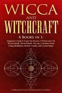 bokomslag Wicca and Witchcraft