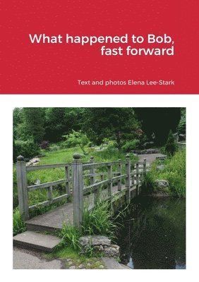 Elena Lee-Stark - What happened to Bob, fast forward, Häftad