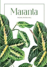 bokomslag Maranta