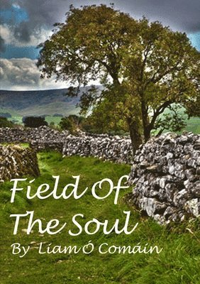 Field Of The Soul 1