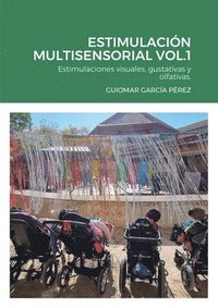 bokomslag Estimulación Multisensorial Vol.1