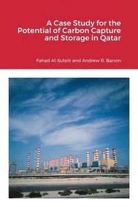 bokomslag A Case Study for the Potential of Carbon Capture and Storage in Qatar