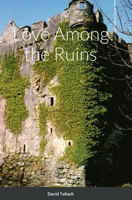 bokomslag Love Among the Ruins