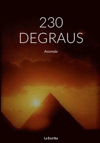 bokomslag 230 Degraus
