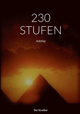 bokomslag 230 Stufen