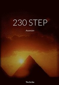 bokomslag 230 Step