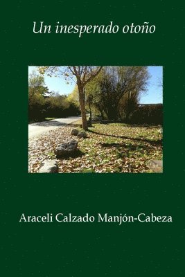 bokomslag inesperado otoño