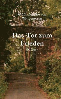 bokomslag Tor Zum Frieden