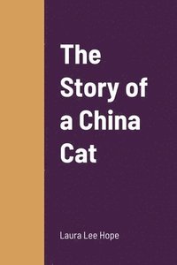 bokomslag Story of a China Cat