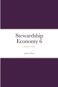 bokomslag Stewardship Economy 6