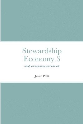 bokomslag Stewardship Economy 3