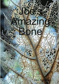 bokomslag Joe's Amazing Bone