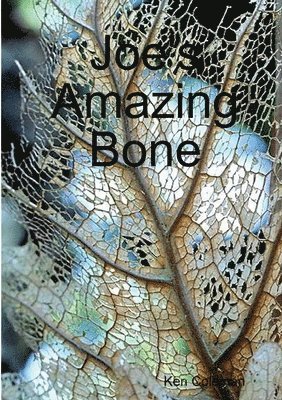 bokomslag Joe's Amazing Bone