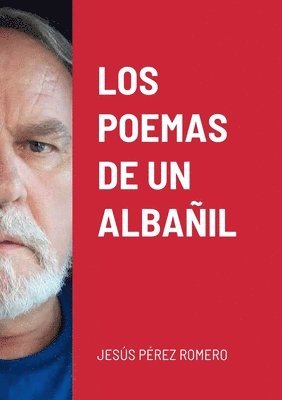 bokomslag Los Poemas de Un Albail