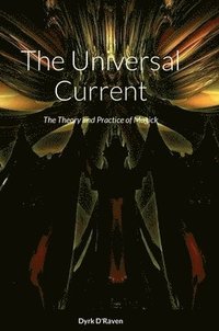 bokomslag The Universal Current