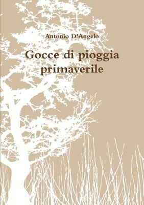 Gocce di pioggia primaverile 1