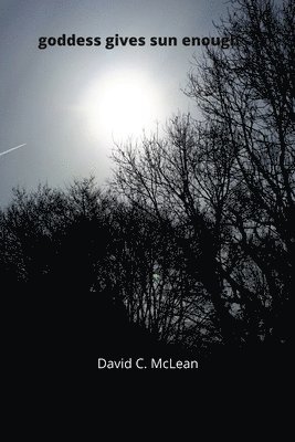 bokomslag goddess carries sun enough