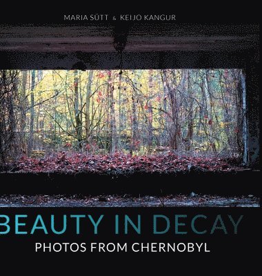 Beauty in Decay 1