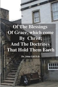 bokomslag Of The Blessings Of Grace; which Come by Christ, and The Doctrines That Hold Them Forth