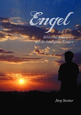 Jurg Steiner - Engel, Häftad