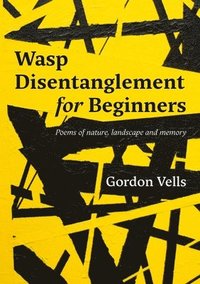 bokomslag Wasp Disentanglement for Beginners