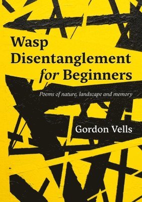 Wasp Disentanglement for Beginners 1