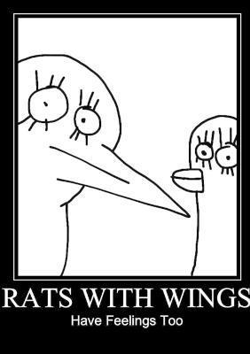 Rats With Wings Have Feelings Too 1