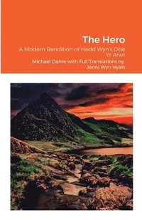 bokomslag Hedd Wyn's -The Hero