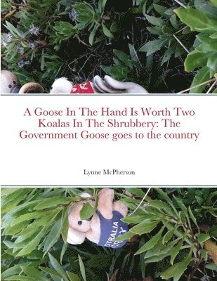 Goose In The Hand Is Worth Two Koalas In The Shrubbery