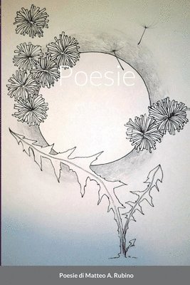 Matteo a Rubino, Matteo a. Rubino, Matteo A. Rubino - Poesie, Häftad