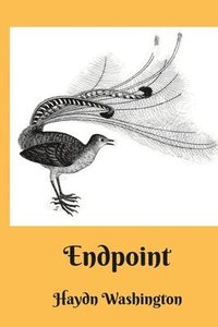 bokomslag Endpoint