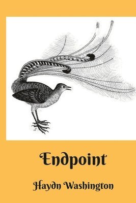 Endpoint 1