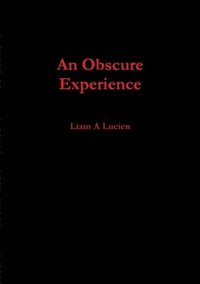 bokomslag Obscure Experience