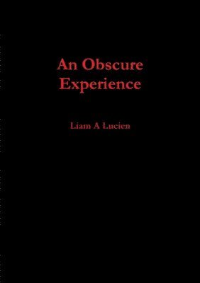 bokomslag Obscure Experience