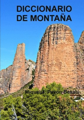 bokomslag Diccionario de montaña