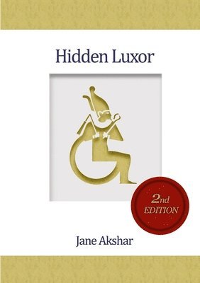 bokomslag Hidden Luxor