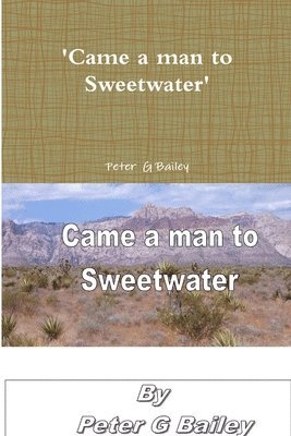 bokomslag 'Came a Man to Sweetwater'