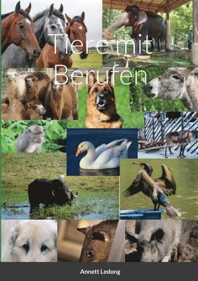 Tiere mit Berufen 1