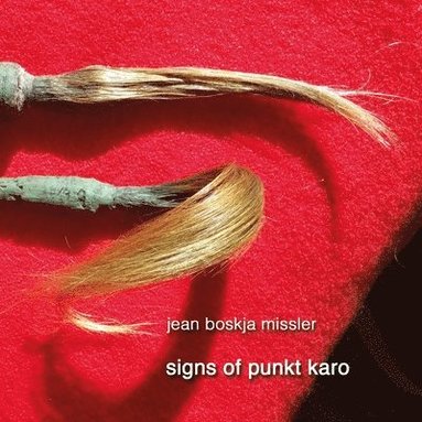 bokomslag signs of punkt karo