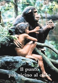 bokomslag Il punto più vicino al cielo