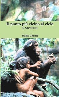 bokomslag Il punto pi vicino al cielo (I Greystoke)