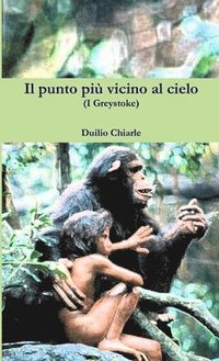 bokomslag Il punto più vicino al cielo (I Greystoke)