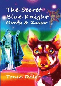 bokomslag The Secret Blue Knight
